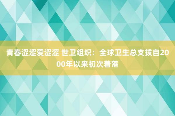 青春涩涩爱涩涩 世卫组织：全球卫生总支拨自2000年以来初次着落