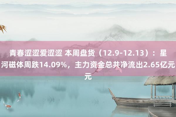 青春涩涩爱涩涩 本周盘货（12.9-12.13）：星河磁体周跌14.09%，主力资金总共净流出2.65亿元