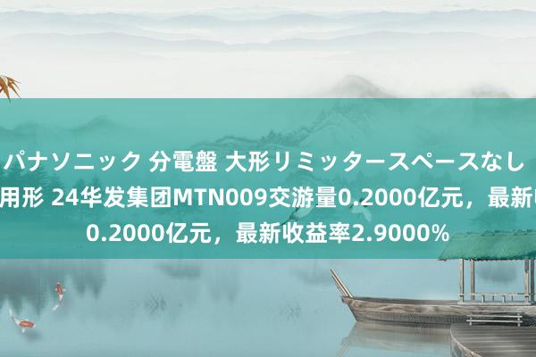 パナソニック 分電盤 大形リミッタースペースなし 露出・半埋込両用形 24华发集团MTN009交游量0.2000亿元，最新收益率2.9000%