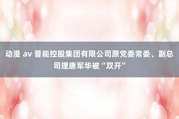 动漫 av 晋能控股集团有限公司原党委常委、副总司理唐军华被“双开”