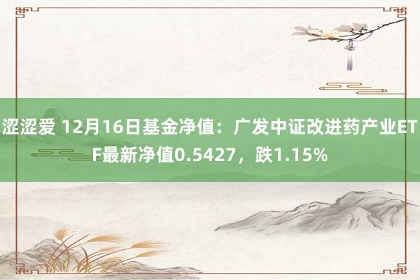 涩涩爱 12月16日基金净值：广发中证改进药产业ETF最新净值0.5427，跌1.15%