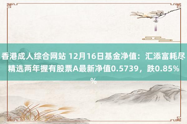 香港成人综合网站 12月16日基金净值：汇添富耗尽精选两年握有股票A最新净值0.5739，跌0.85%