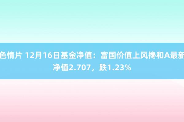 色情片 12月16日基金净值：富国价值上风搀和A最新净值2.707，跌1.23%