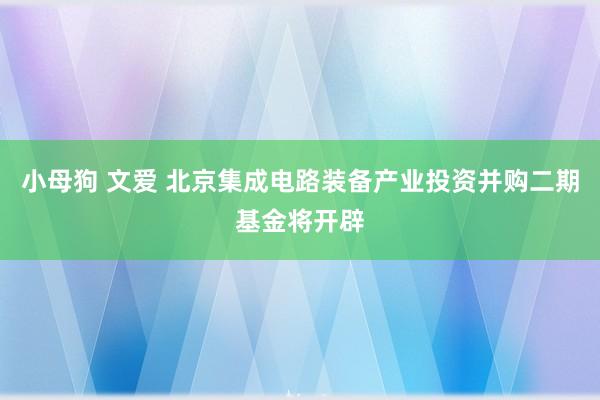 小母狗 文爱 北京集成电路装备产业投资并购二期基金将开辟