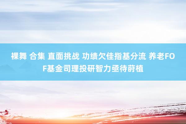 裸舞 合集 直面挑战 功绩欠佳指基分流 养老FOF基金司理投研智力亟待莳植