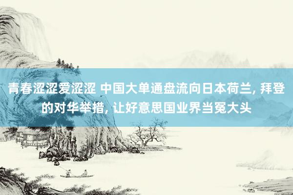 青春涩涩爱涩涩 中国大单通盘流向日本荷兰， 拜登的对华举措， 让好意思国业界当冤大头