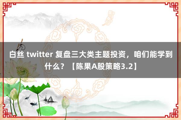 白丝 twitter 复盘三大类主题投资，咱们能学到什么？【陈果A股策略3.2】