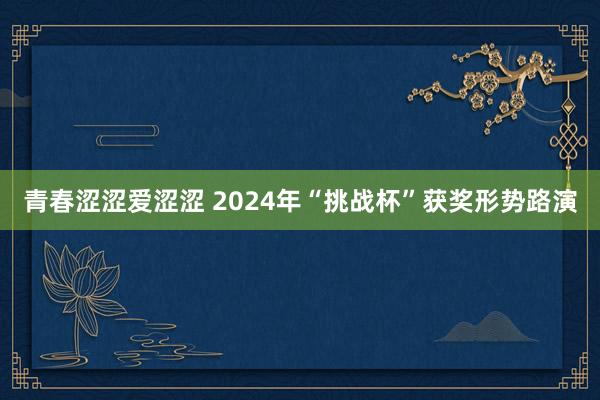 青春涩涩爱涩涩 2024年“挑战杯”获奖形势路演