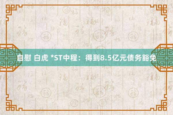 自慰 白虎 *ST中程：得到8.5亿元债务豁免