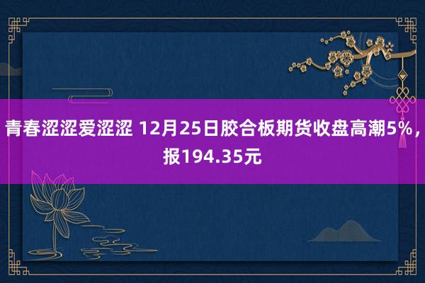 青春涩涩爱涩涩 12月25日胶合板期货收盘高潮5%，报194.35元