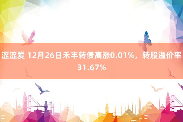 涩涩爱 12月26日禾丰转债高涨0.01%，转股溢价率31.67%