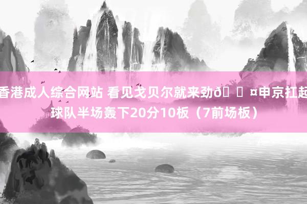 香港成人综合网站 看见戈贝尔就来劲😤申京扛起球队半场轰下20分10板（7前场板）