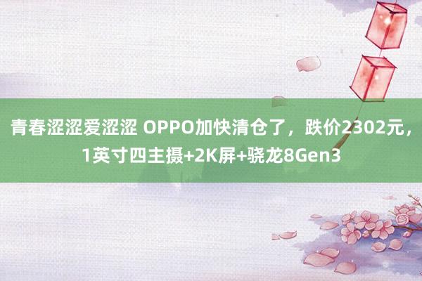 青春涩涩爱涩涩 OPPO加快清仓了，跌价2302元，1英寸四主摄+2K屏+骁龙8Gen3