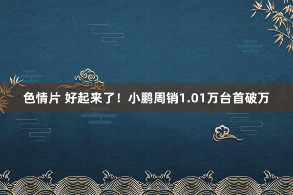 色情片 好起来了！小鹏周销1.01万台首破万