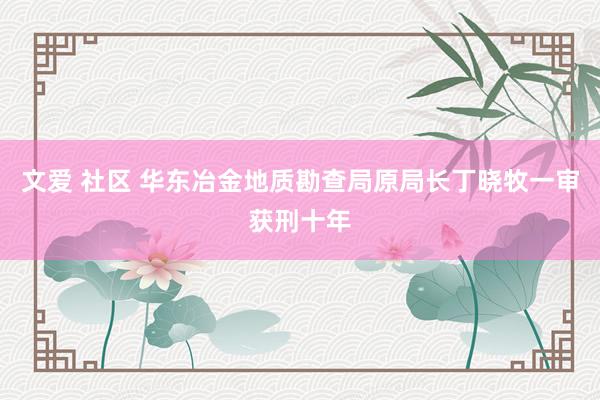 文爱 社区 华东冶金地质勘查局原局长丁晓牧一审获刑十年