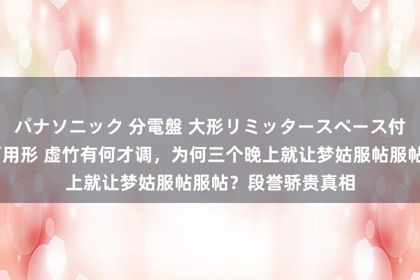 パナソニック 分電盤 大形リミッタースペース付 露出・半埋込両用形 虚竹有何才调，为何三个晚上就让梦姑服帖服帖？段誉骄贵真相