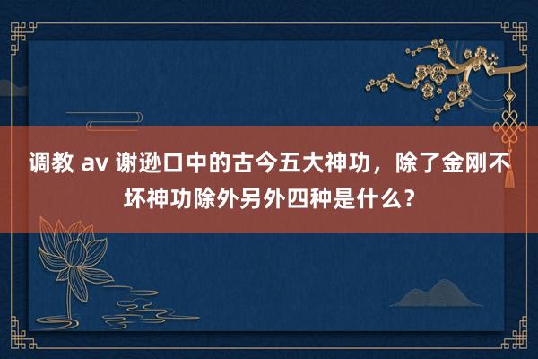 调教 av 谢逊口中的古今五大神功，除了金刚不坏神功除外另外四种是什么？