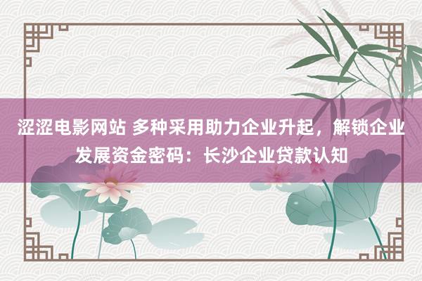 涩涩电影网站 多种采用助力企业升起，解锁企业发展资金密码：长沙企业贷款认知