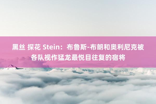 黑丝 探花 Stein：布鲁斯-布朗和奥利尼克被各队视作猛龙最悦目往复的宿将