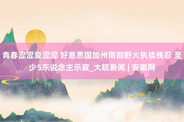 青春涩涩爱涩涩 好意思国加州南部野火执续残忍 至少5东说念主示寂_大皖新闻 | 安徽网