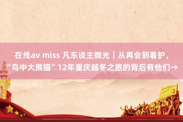 在线av miss 凡东谈主微光｜从再会到看护，“鸟中大熊猫”12年重庆越冬之旅的背后有他们→