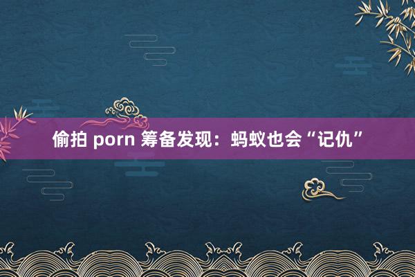 偷拍 porn 筹备发现：蚂蚁也会“记仇”