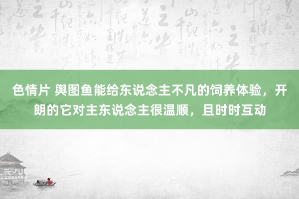 色情片 舆图鱼能给东说念主不凡的饲养体验，开朗的它对主东说念主很温顺，且时时互动