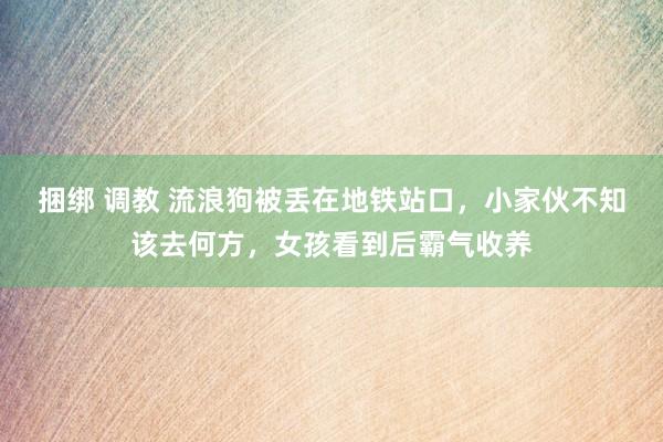 捆绑 调教 流浪狗被丢在地铁站口，小家伙不知该去何方，女孩看到后霸气收养