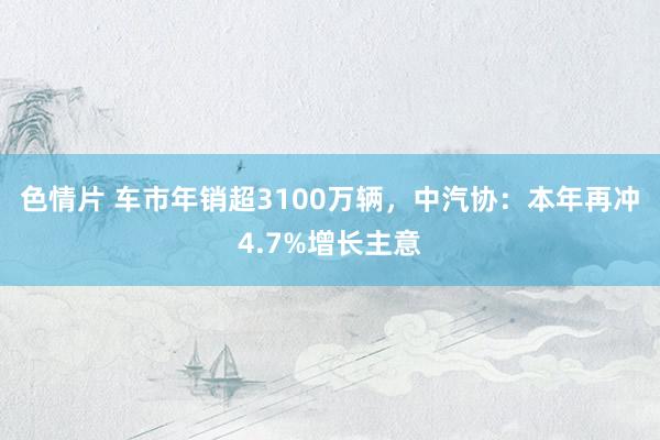 色情片 车市年销超3100万辆，中汽协：本年再冲4.7%增长主意