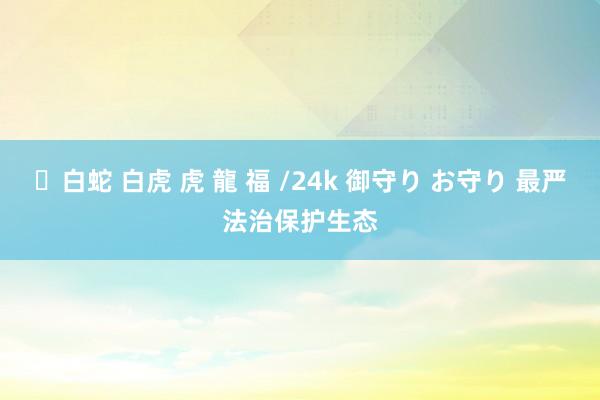 ✨白蛇 白虎 虎 龍 福 /24k 御守り お守り 最严法治保护生态