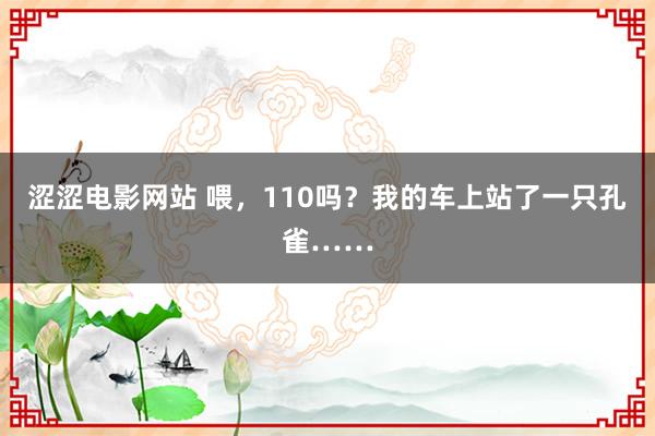 涩涩电影网站 喂，110吗？我的车上站了一只孔雀……