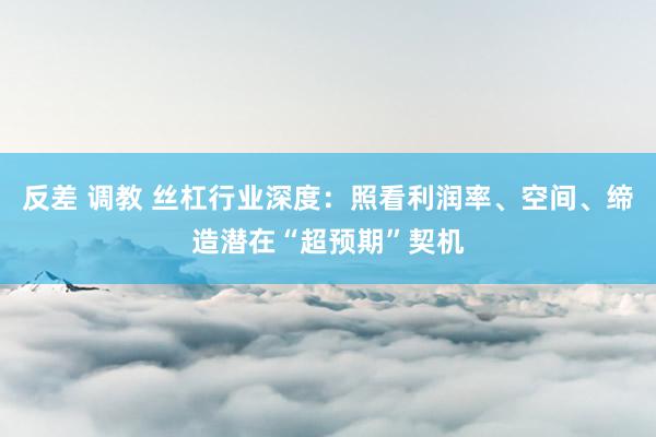 反差 调教 丝杠行业深度：照看利润率、空间、缔造潜在“超预期”契机